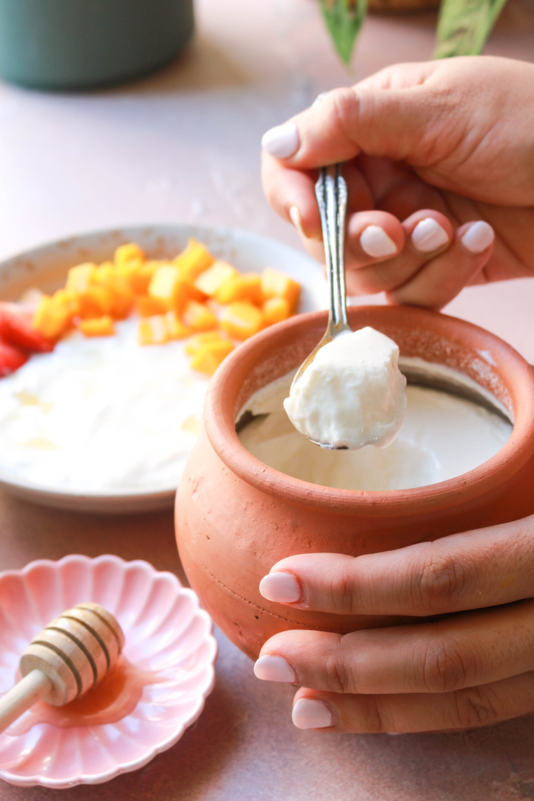 Indian Clay Yogurt Pot - Small